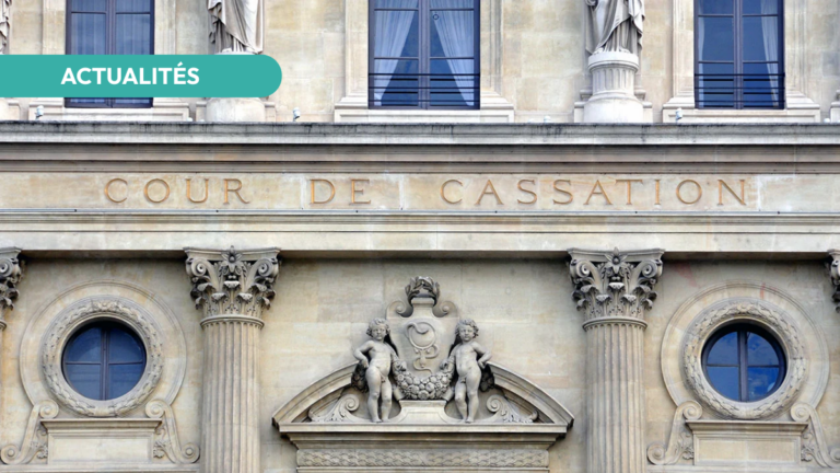 2025 - illustration article (42)